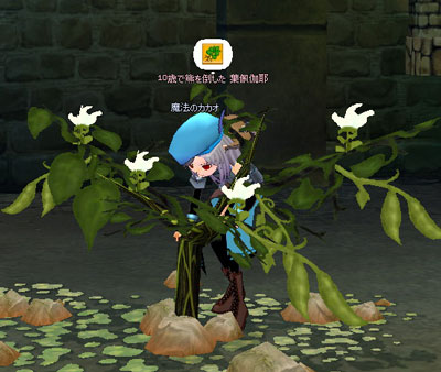 mabi94_6.jpg