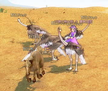 mabi99_4.jpg